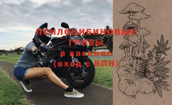 героин Алексин