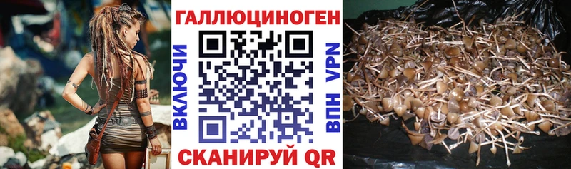Галлюциногенные грибы прущие грибы  Купить  Тара 